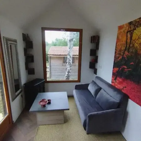 Camping Tiny House Naujac-sur-Mer